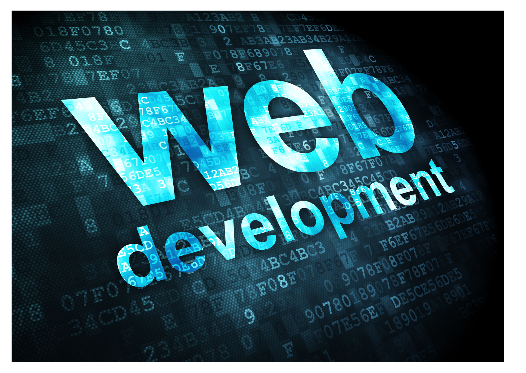 next level web development next level web... Website Development